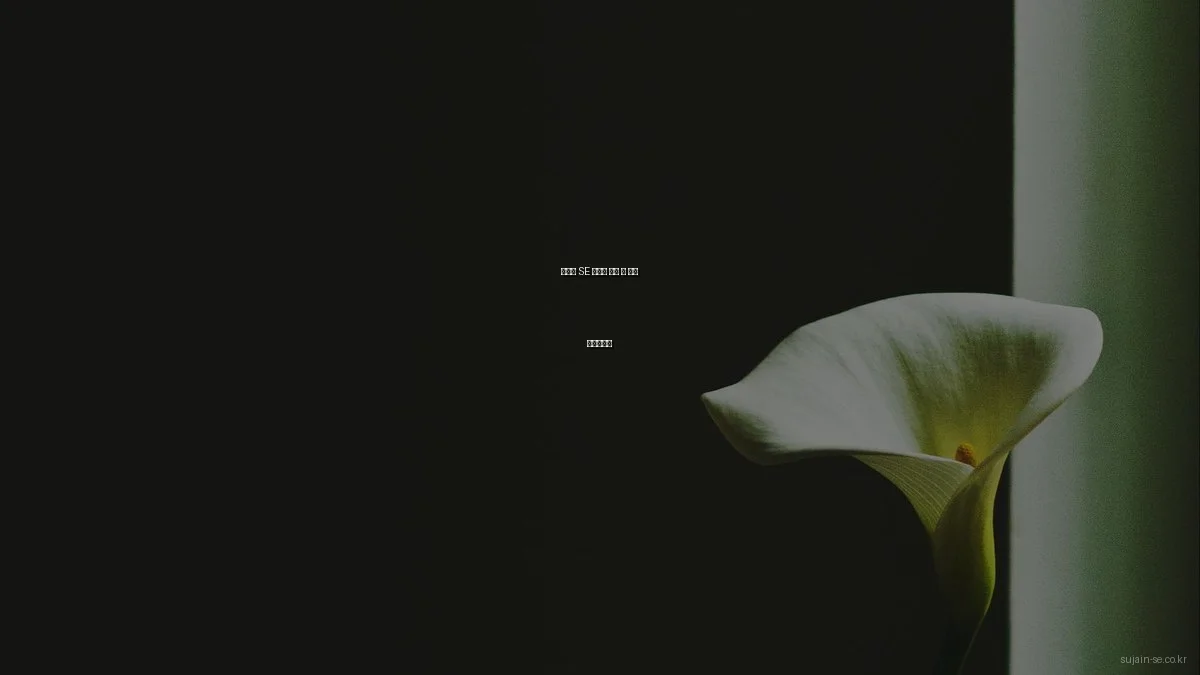 수자인 SE 아파트 분양 전 필수 체크리스트