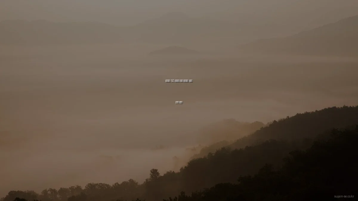 수자인 SE 아파트 선택 가이드: 필수 비교 요소