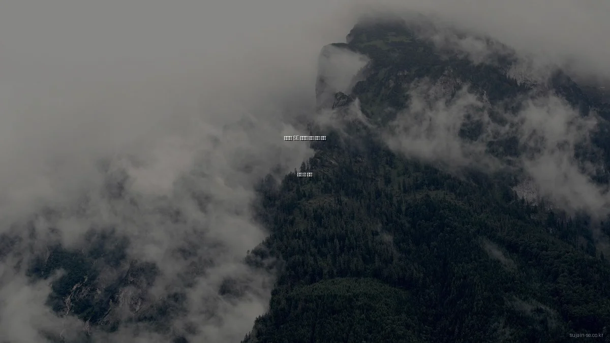 수자인 SE 아파트 유닛 타입 비교 분석 및 추천