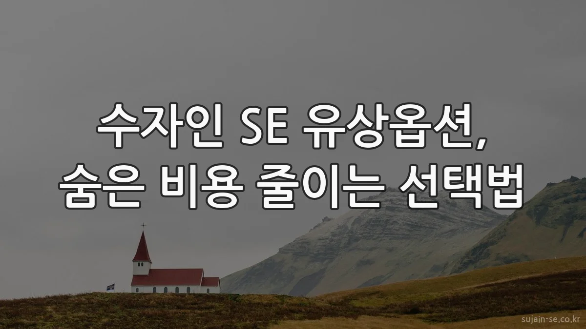 수자인 SE 유상옵션, 숨은 비용 줄이는 선택법