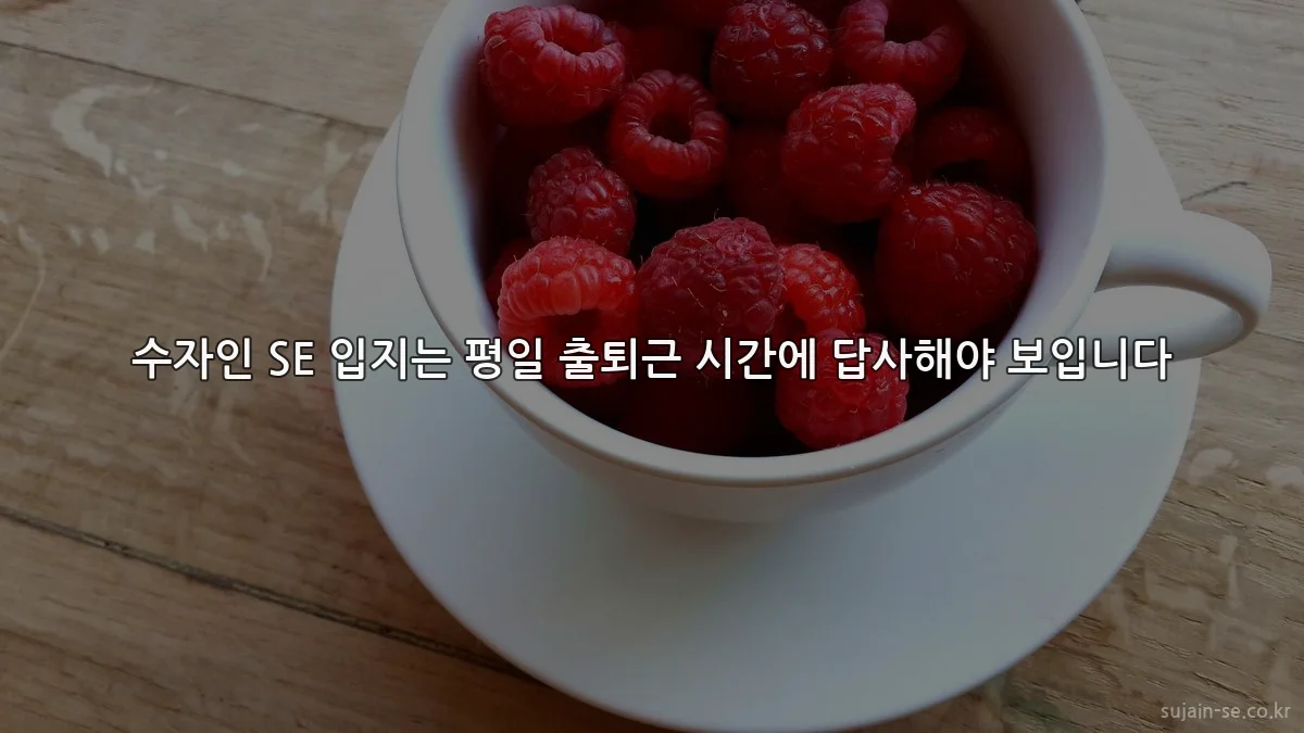 수자인 SE 입지는 평일 출퇴근 시간에 답사해야 보입니다