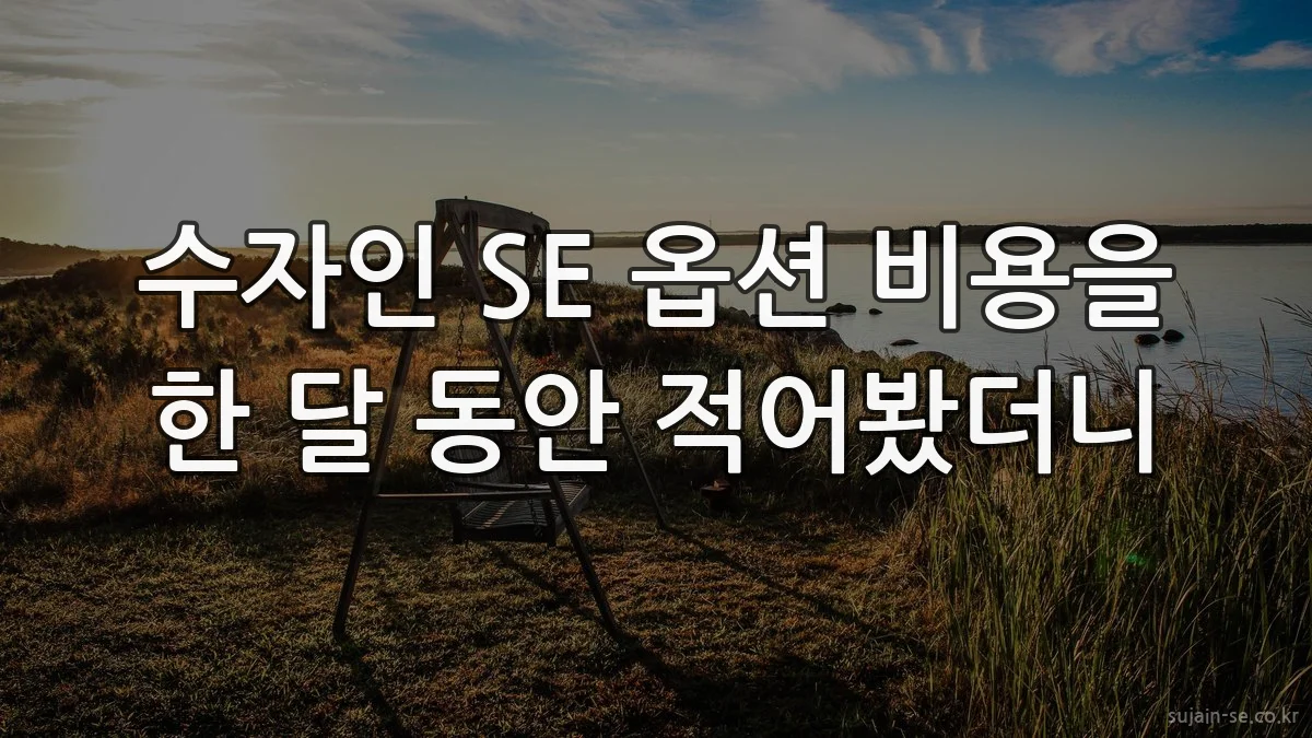 수자인 SE 옵션 비용을 한 달 동안 적어봤더니