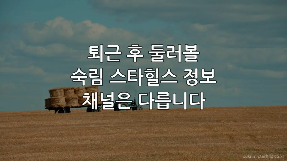 퇴근 후 둘러볼 숙림 스타힐스 정보 채널은 다릅니다
