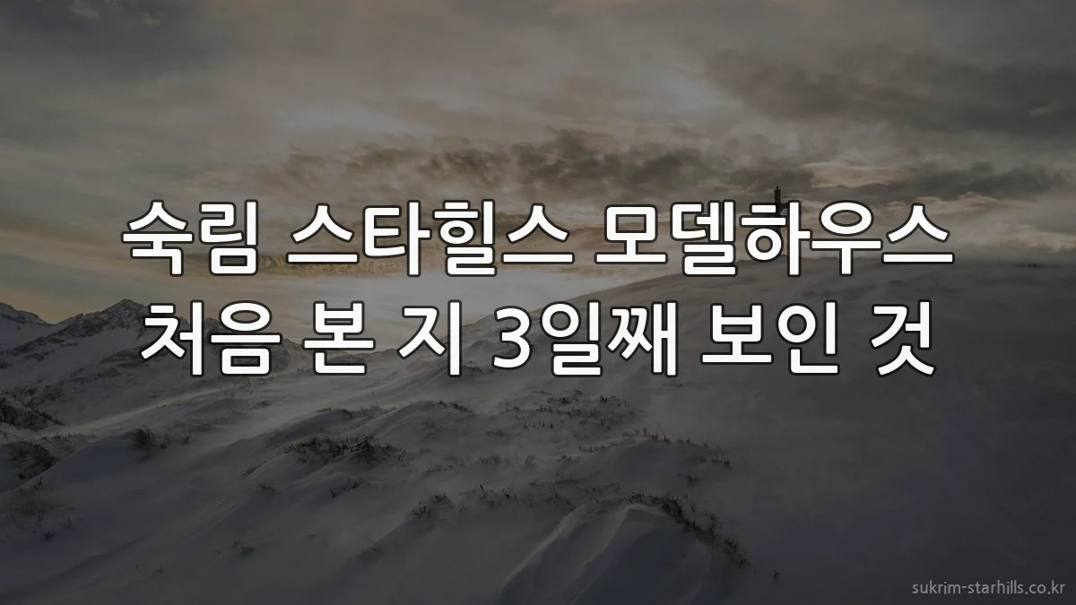 숙림 스타힐스 모델하우스 처음 본 지 3일째 보인 것