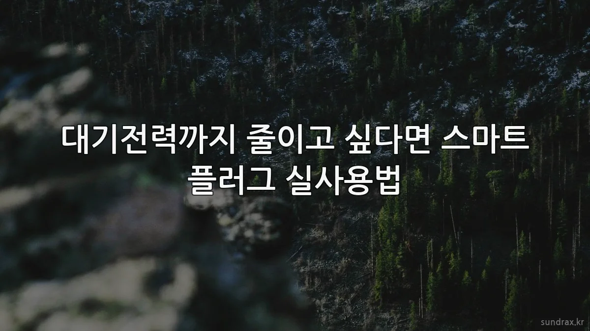 대기전력까지 줄이고 싶다면 스마트 플러그 실사용법