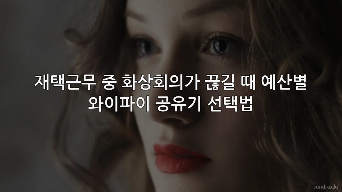 재택근무 중 화상회의가 끊길 때 예산별 와이파이 공유기 선택법