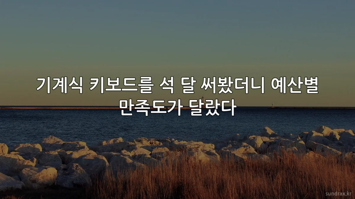 기계식 키보드를 석 달 써봤더니 예산별 만족도가 달랐다