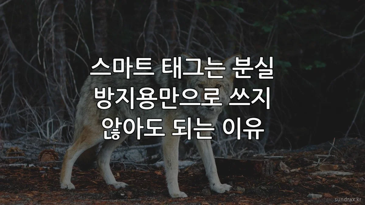 스마트 태그는 분실 방지용만으로 쓰지 않아도 되는 이유