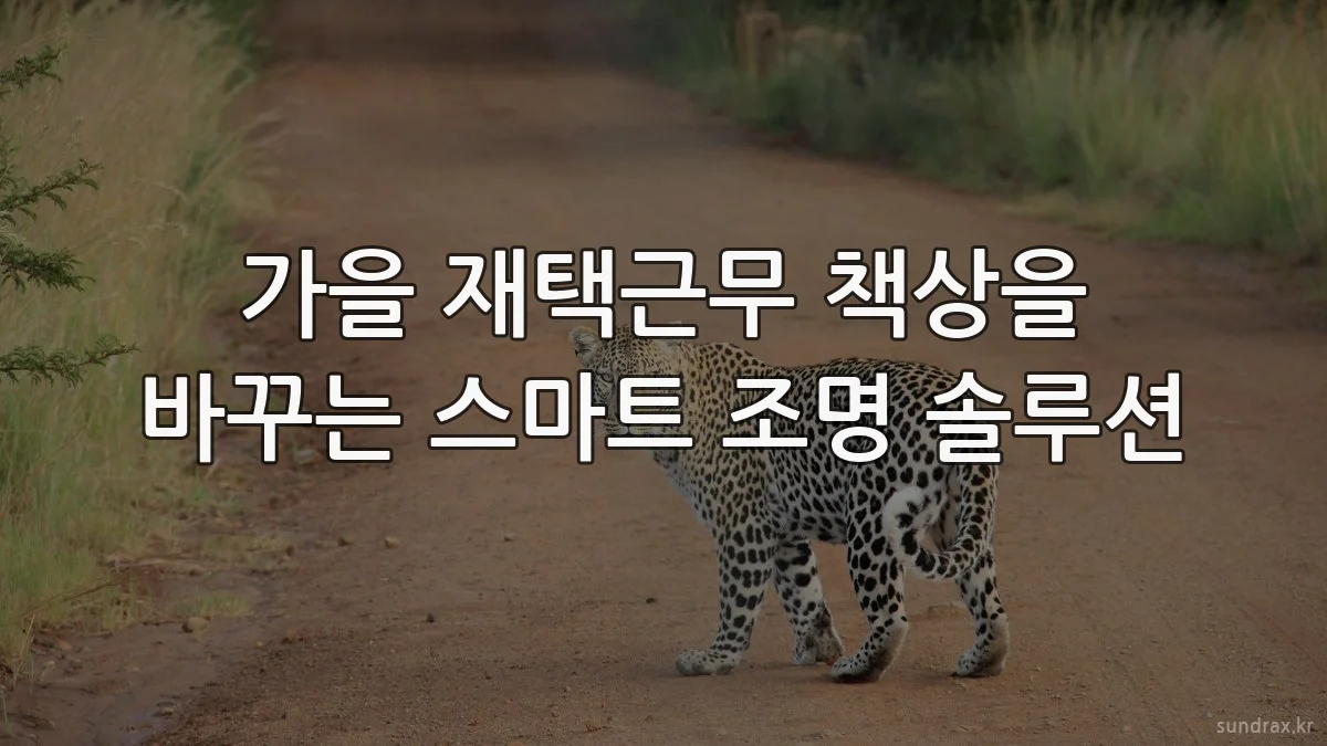 가을 재택근무 책상을 바꾸는 스마트 조명 솔루션
