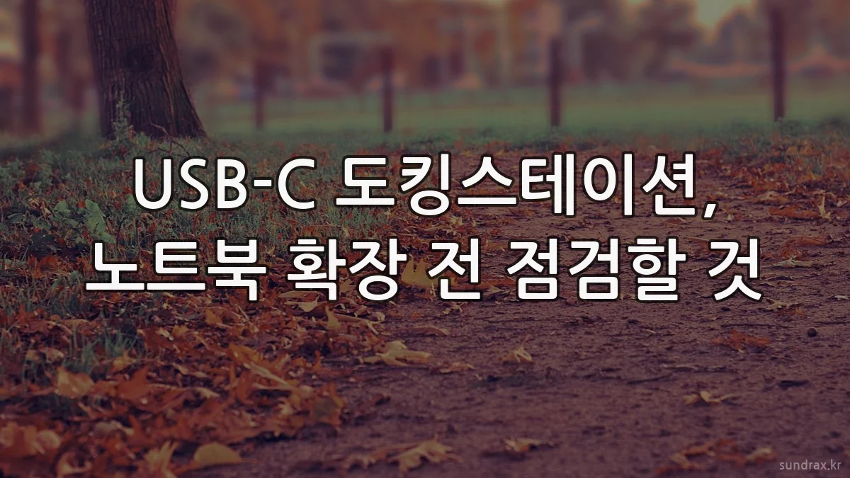 USB-C 도킹스테이션, 노트북 확장 전 점검할 것