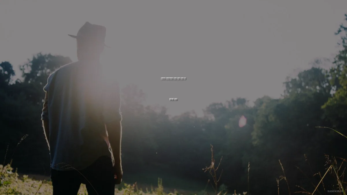 예산별 포트폴리오 필수 도구 추천 및 가성비 분석