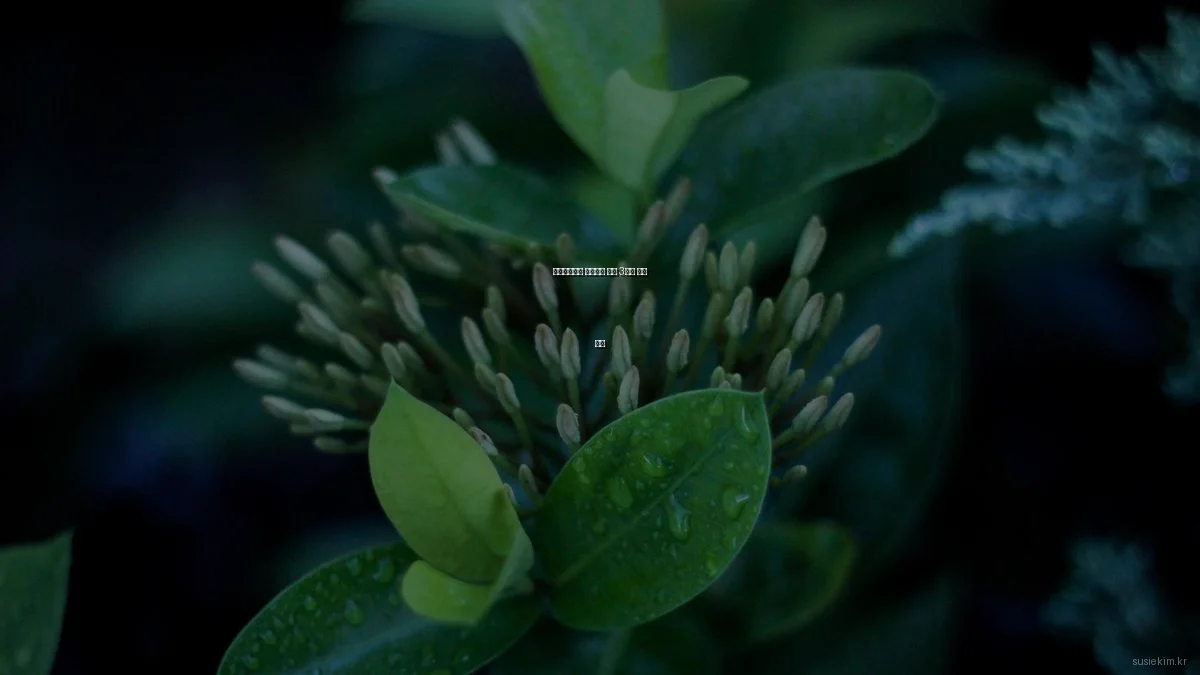 포트폴리오용 웹사이트 빌더 3대장 비교 분석