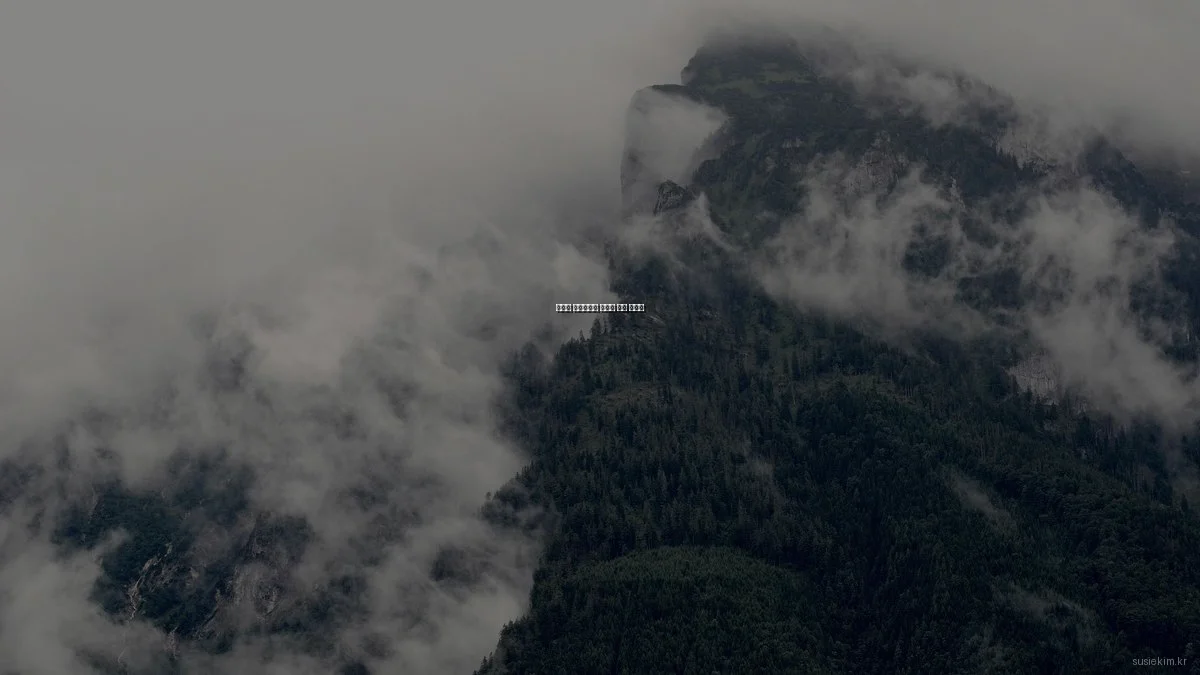 예산별 포트폴리오 블로그 제작 가이드