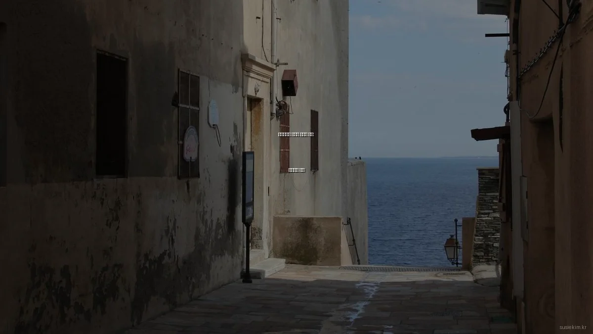 포트폴리오 블로그 플랫폼 비교: 장단점과 추천