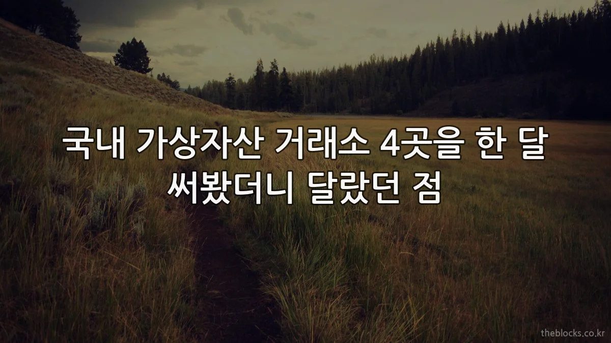 국내 가상자산 거래소 4곳을 한 달 써봤더니 달랐던 점