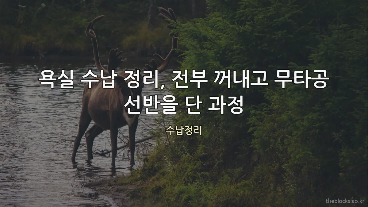 욕실 수납 정리, 전부 꺼내고 무타공 선반을 단 과정