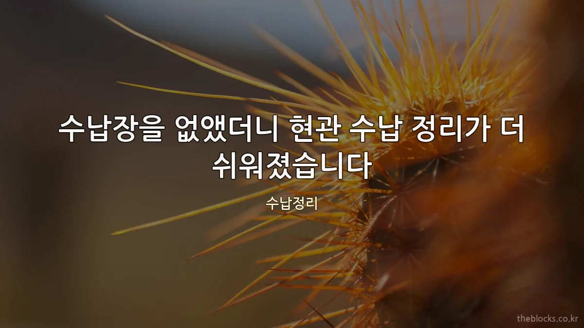 수납장을 없앴더니 현관 수납 정리가 더 쉬워졌습니다