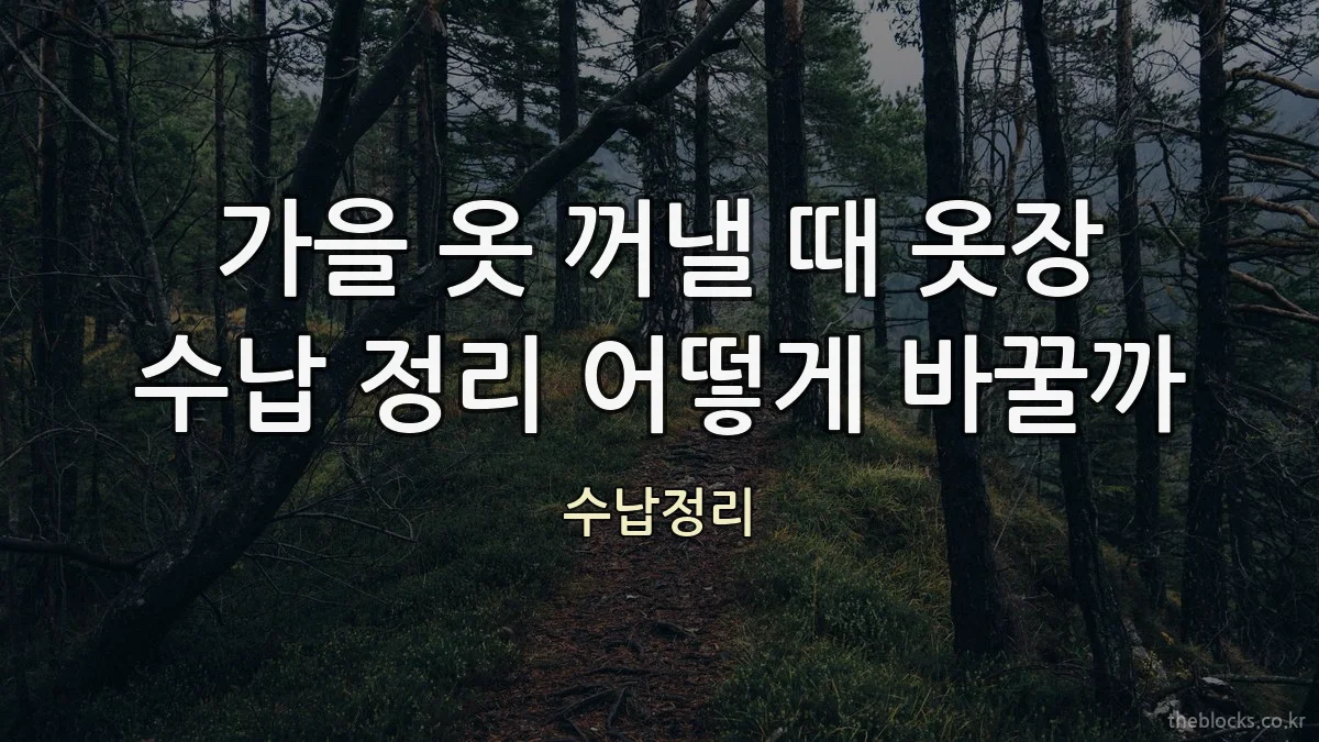 가을 옷 꺼낼 때 옷장 수납 정리 어떻게 바꿀까