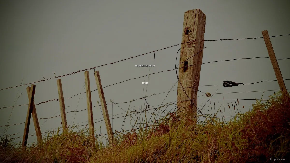 취미 전문가에게 묻다: 새로운 레저 활동 찾기