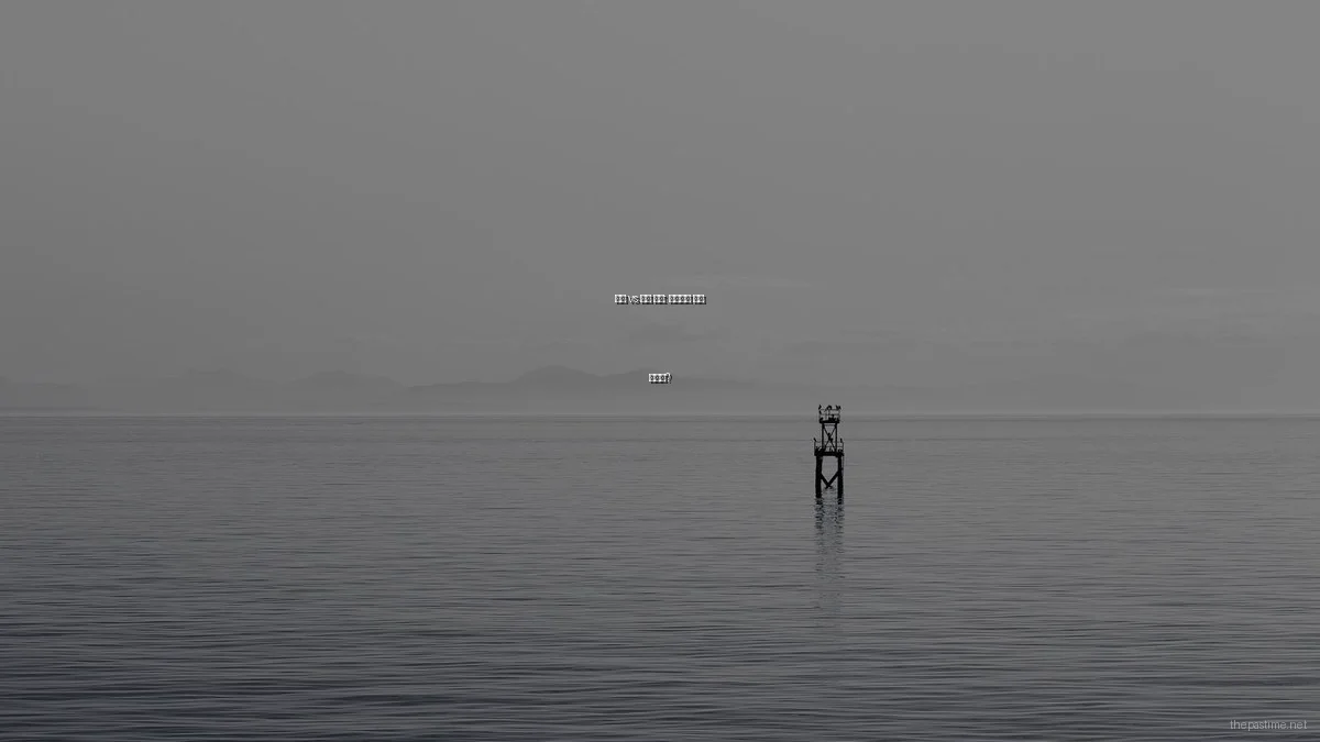 실내 vs 실외 취미: 당신에게 맞는 활동은?