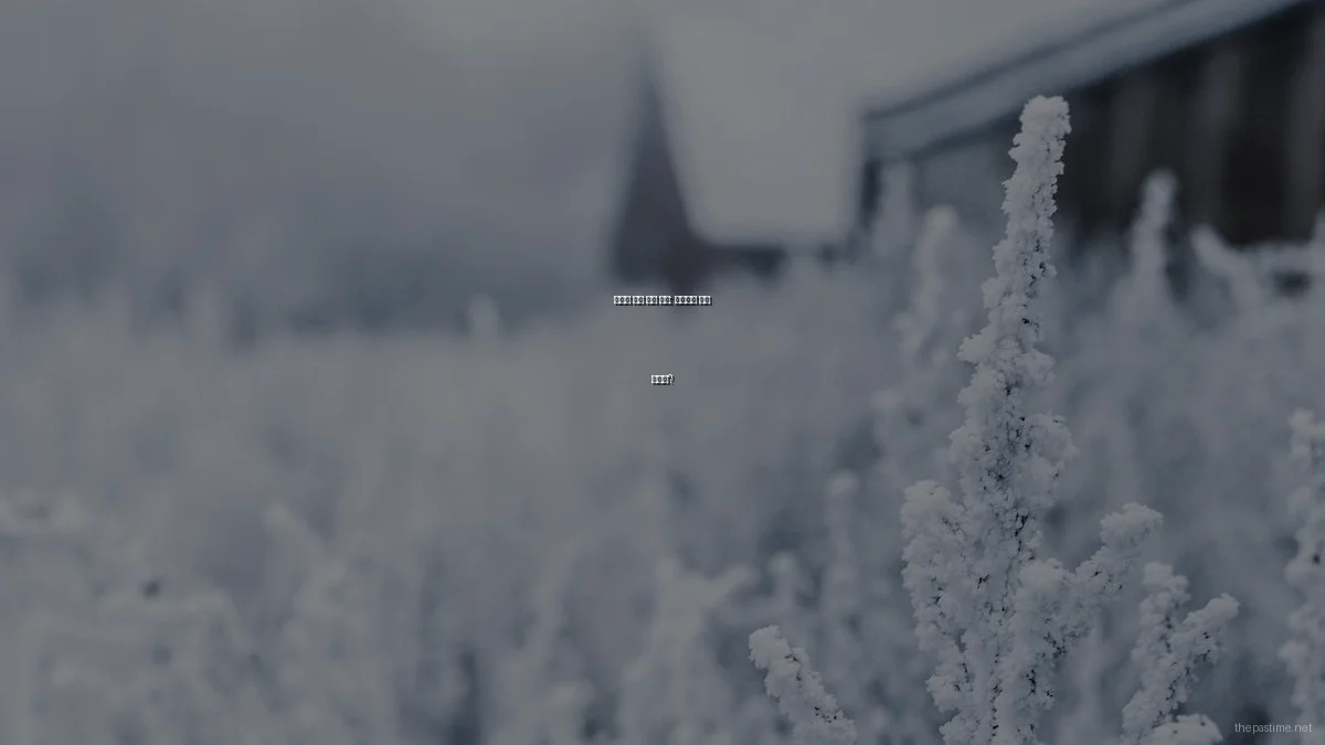 다양한 취미 용품 비교: 당신에게 맞는 선택은?