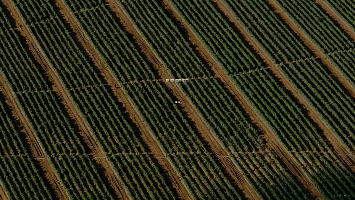 취미 활동을 위한 필수 장비 비교 가이드
