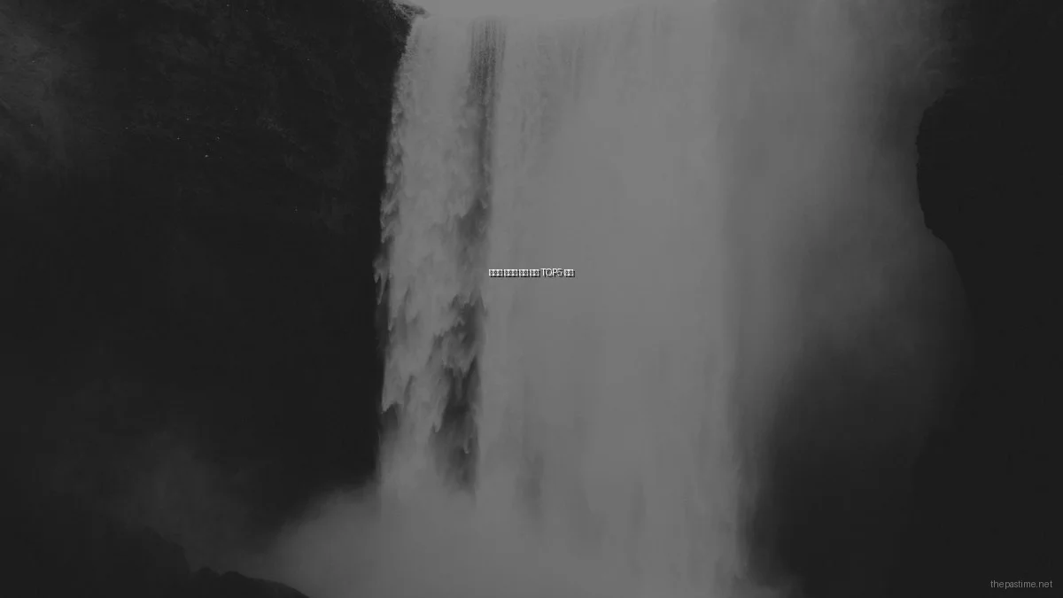 봄철에 즐기기 좋은 취미 TOP5 추천