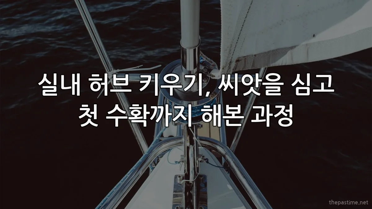 실내 허브 키우기, 씨앗을 심고 첫 수확까지 해본 과정