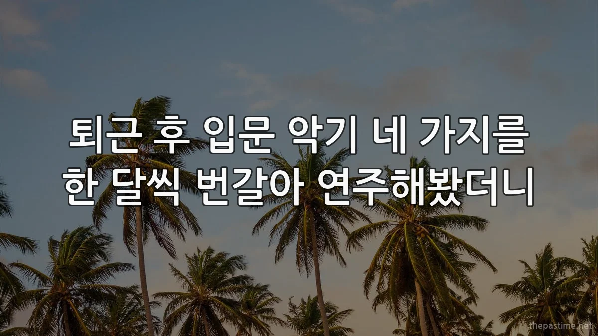 퇴근 후 입문 악기 네 가지를 한 달씩 번갈아 연주해봤더니