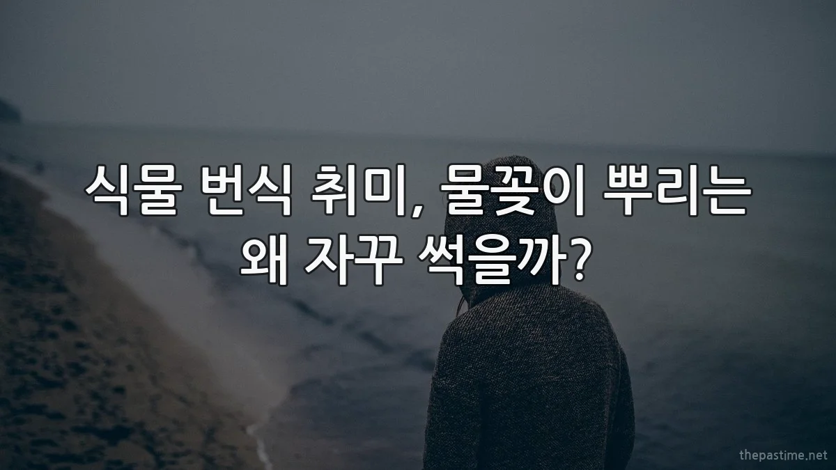 식물 번식 취미, 물꽂이 뿌리는 왜 자꾸 썩을까?