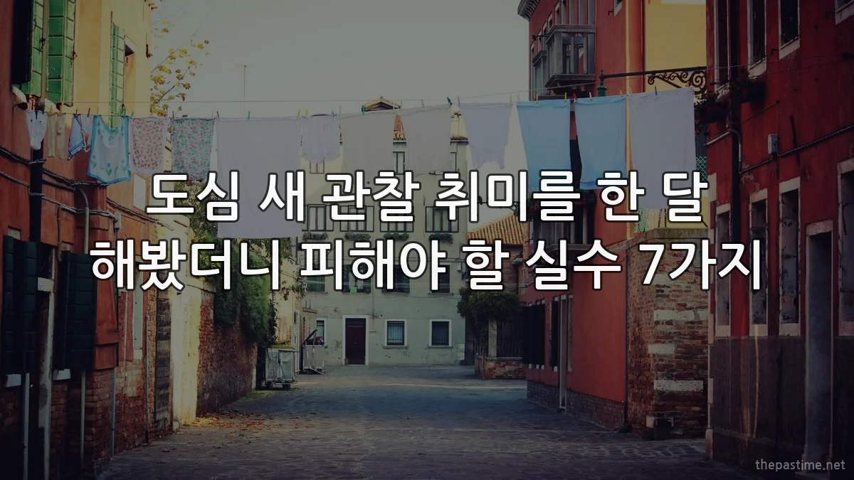 도심 새 관찰 취미를 한 달 해봤더니 피해야 할 실수 7가지