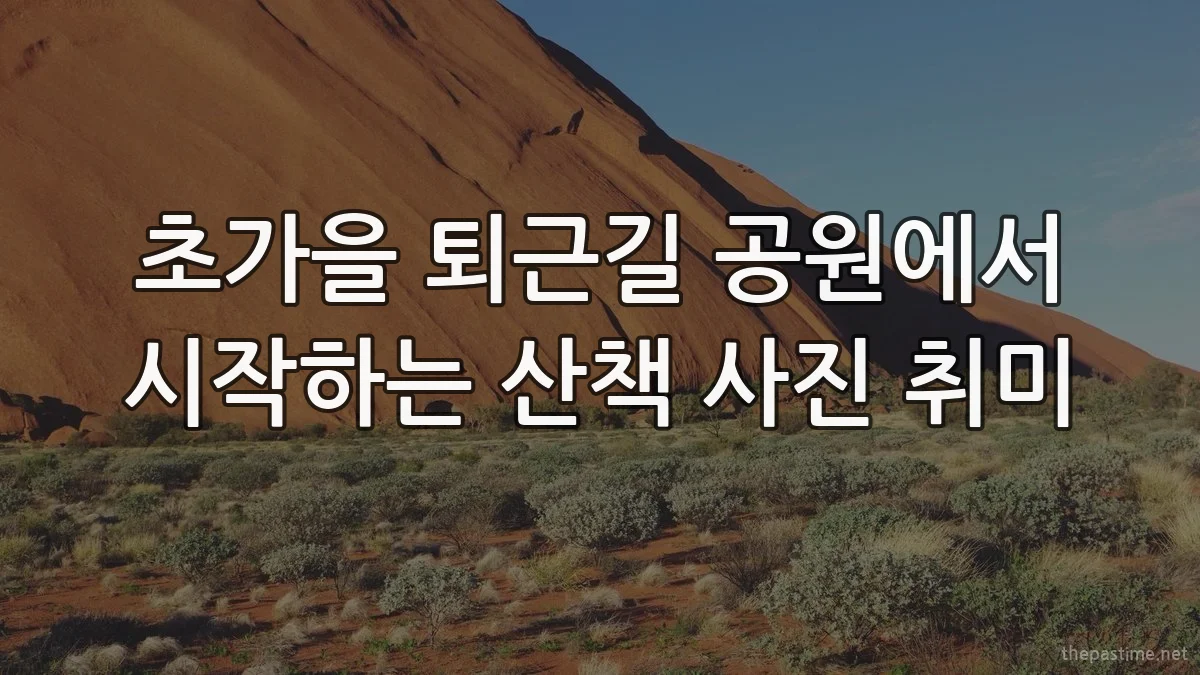 초가을 퇴근길 공원에서 시작하는 산책 사진 취미
