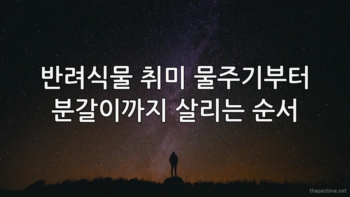 반려식물 취미 물주기부터 분갈이까지 살리는 순서