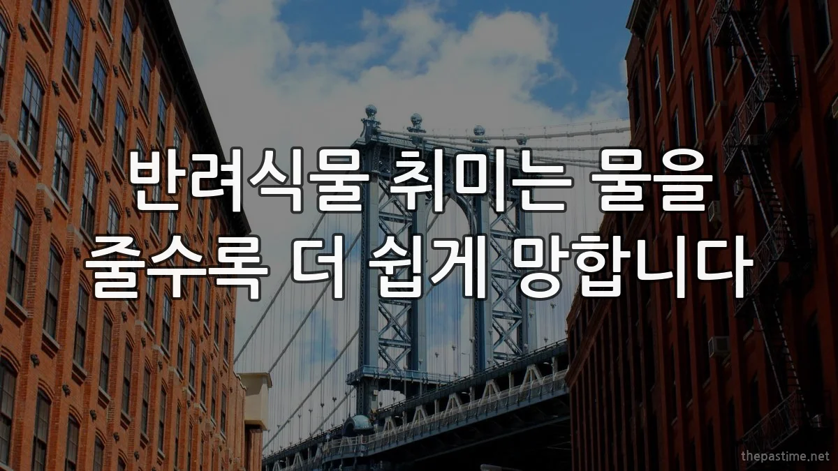 반려식물 취미는 물을 줄수록 더 쉽게 망합니다