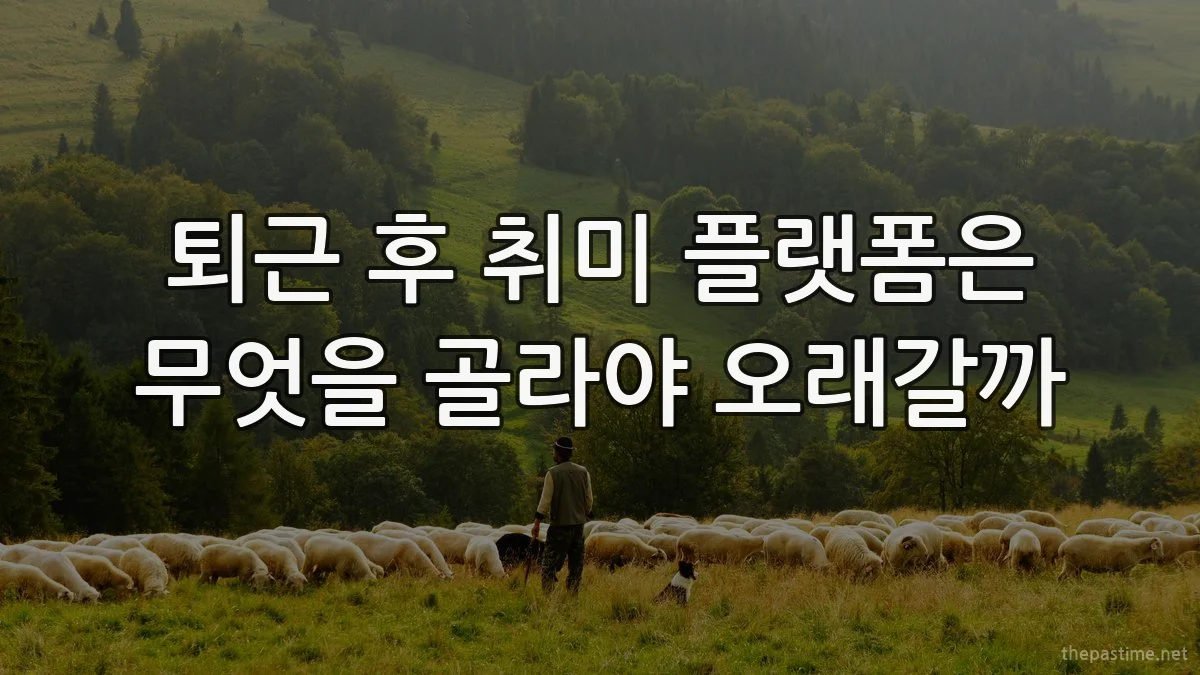 퇴근 후 취미 플랫폼은 무엇을 골라야 오래갈까