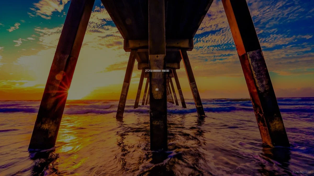 2026년 라이프스타일: 숨겨진 꿀팁 모음