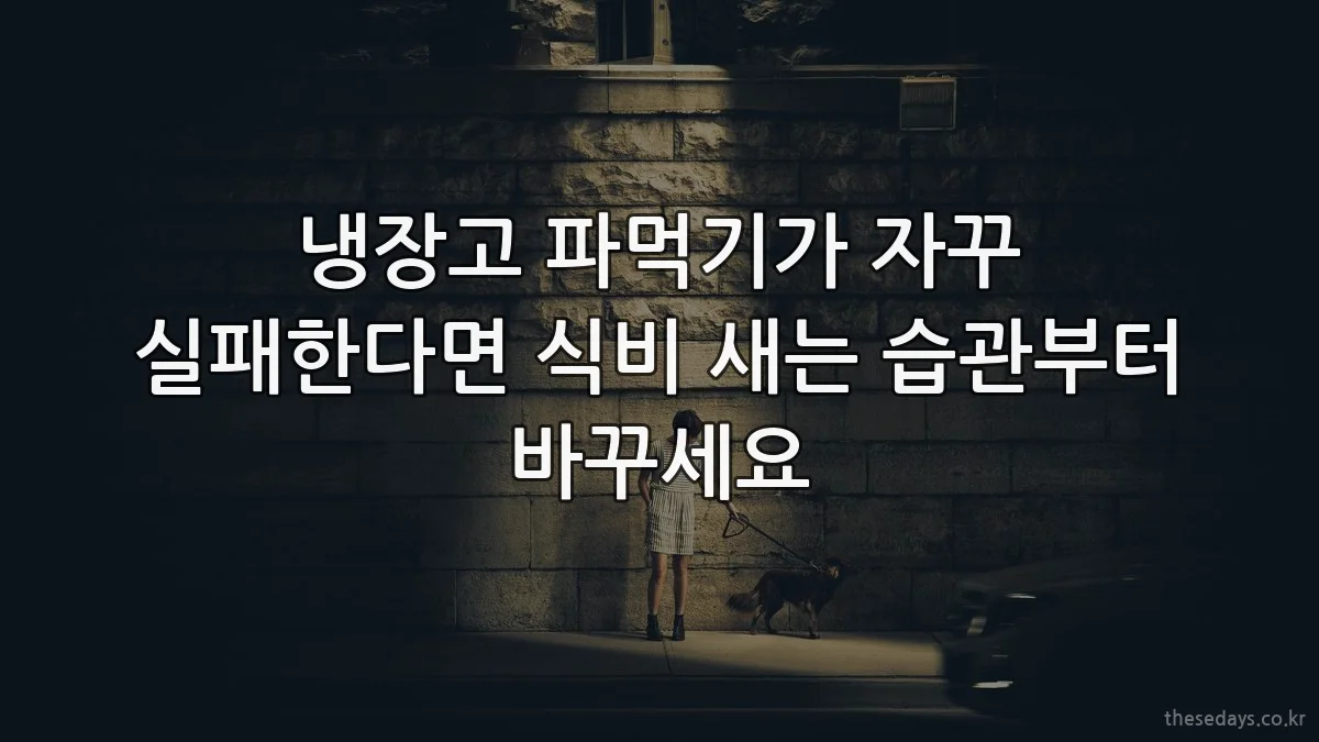 냉장고 파먹기가 자꾸 실패한다면 식비 새는 습관부터 바꾸세요