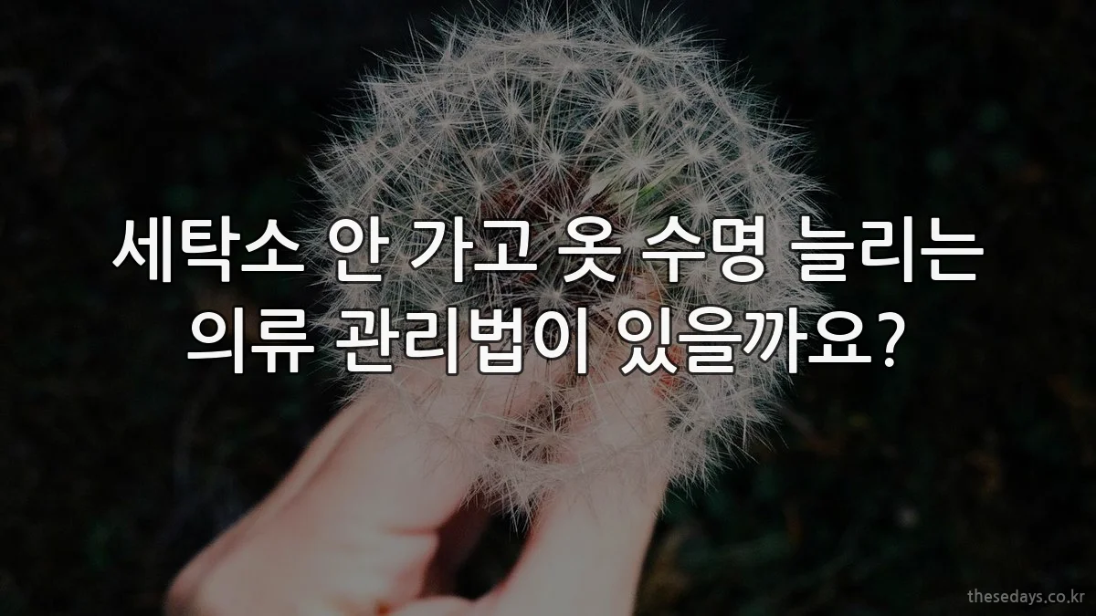세탁소 안 가고 옷 수명 늘리는 의류 관리법이 있을까요?