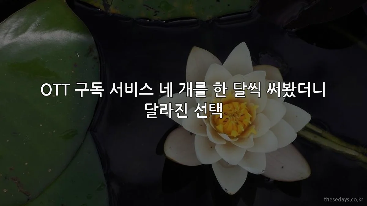 OTT 구독 서비스 네 개를 한 달씩 써봤더니 달라진 선택
