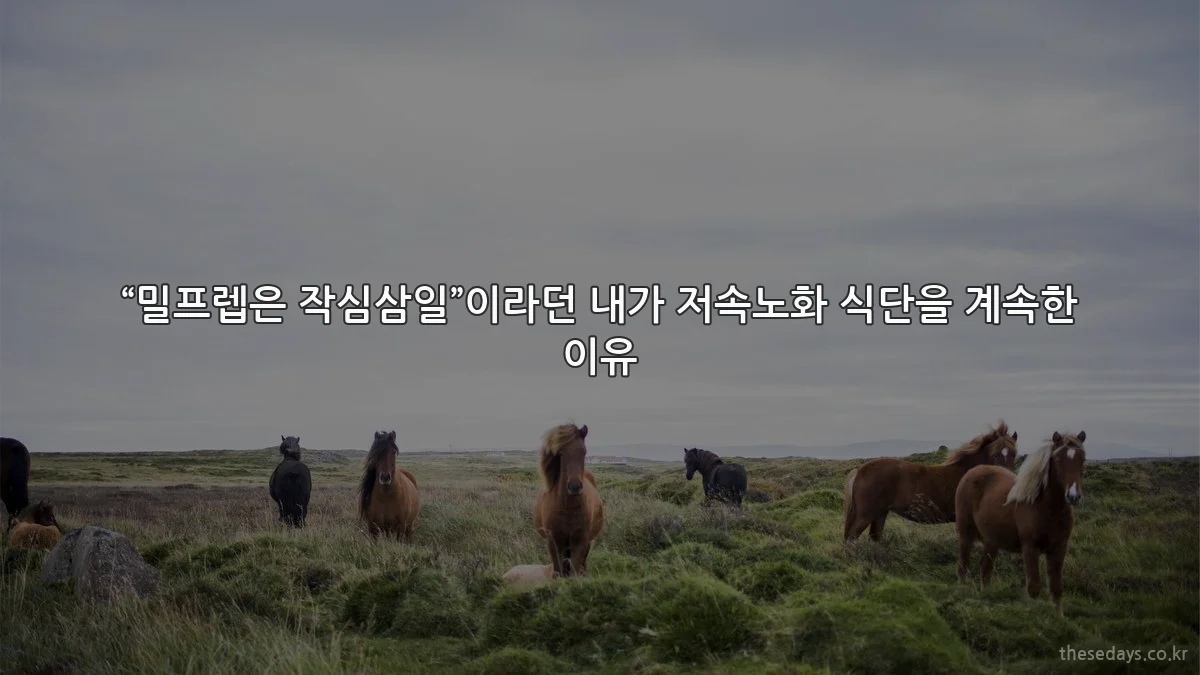 “밀프렙은 작심삼일”이라던 내가 저속노화 식단을 계속한 이유
