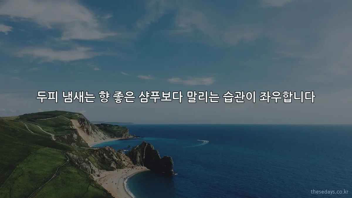 두피 냄새는 향 좋은 샴푸보다 말리는 습관이 좌우합니다