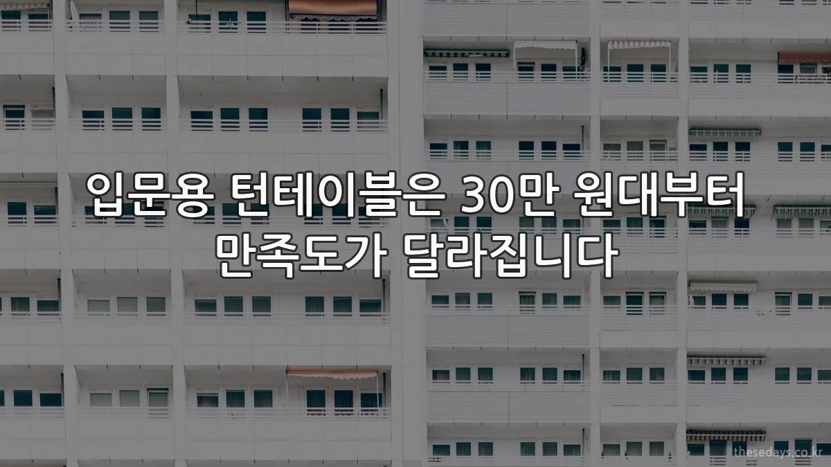 입문용 턴테이블은 30만 원대부터 만족도가 달라집니다