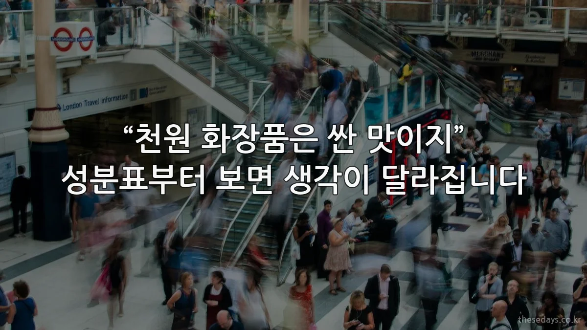 “천원 화장품은 싼 맛이지” 성분표부터 보면 생각이 달라집니다