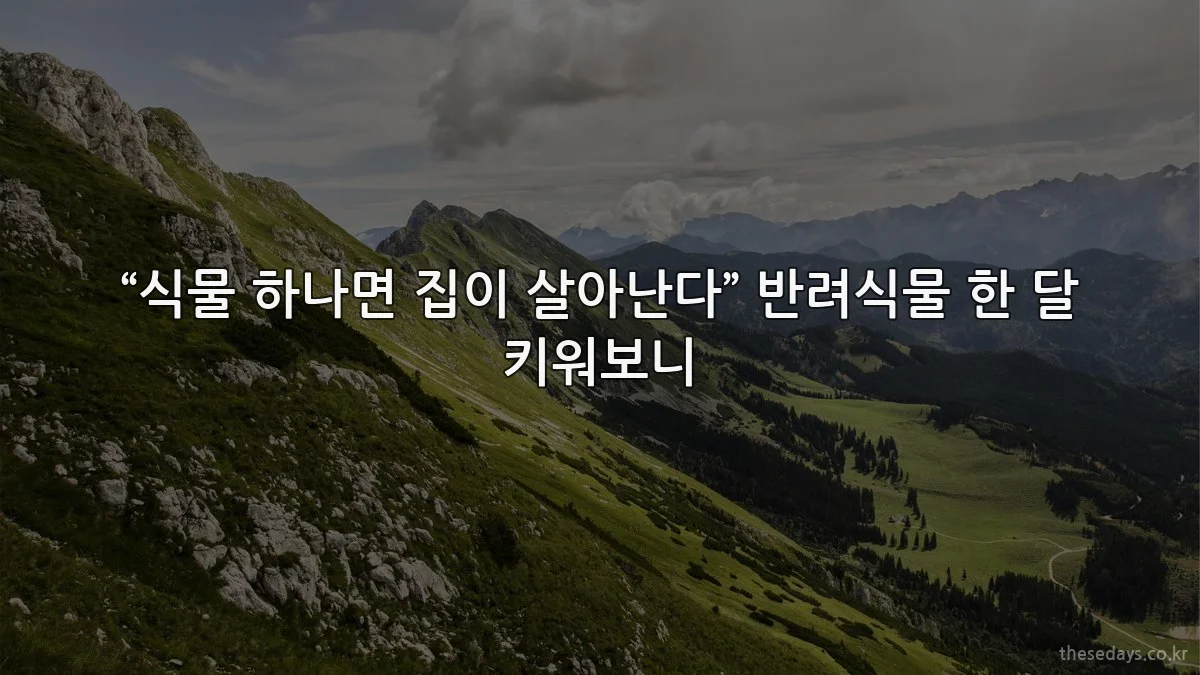 “식물 하나면 집이 살아난다” 반려식물 한 달 키워보니