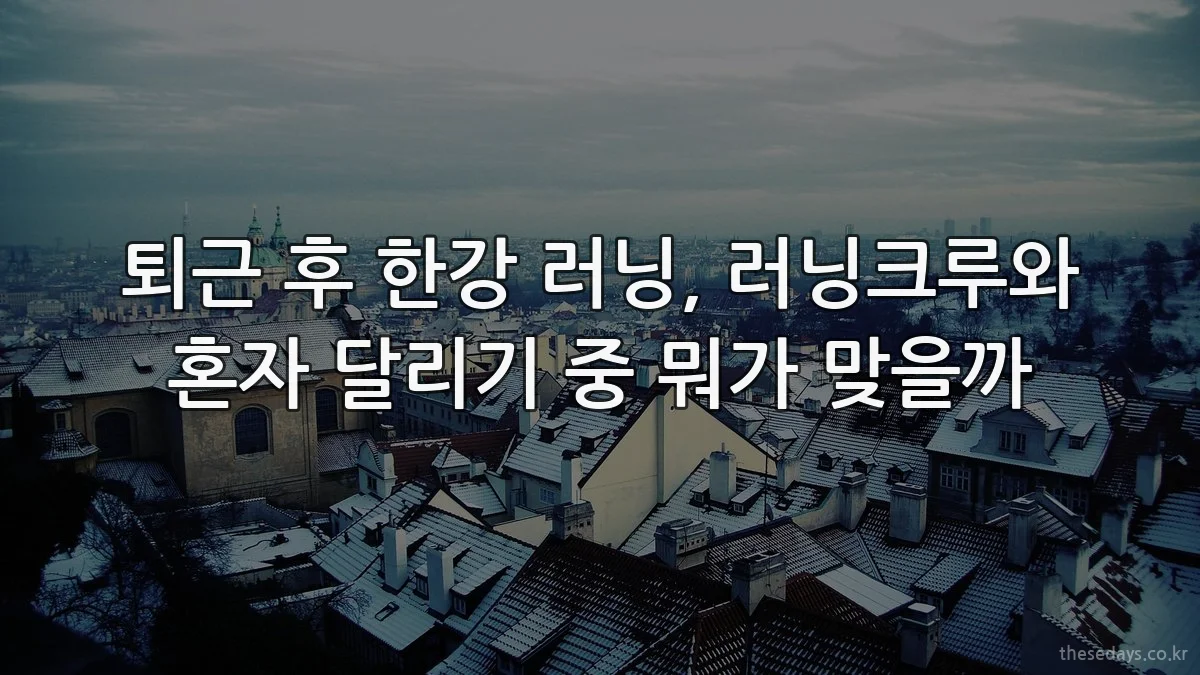 퇴근 후 한강 러닝, 러닝크루와 혼자 달리기 중 뭐가 맞을까