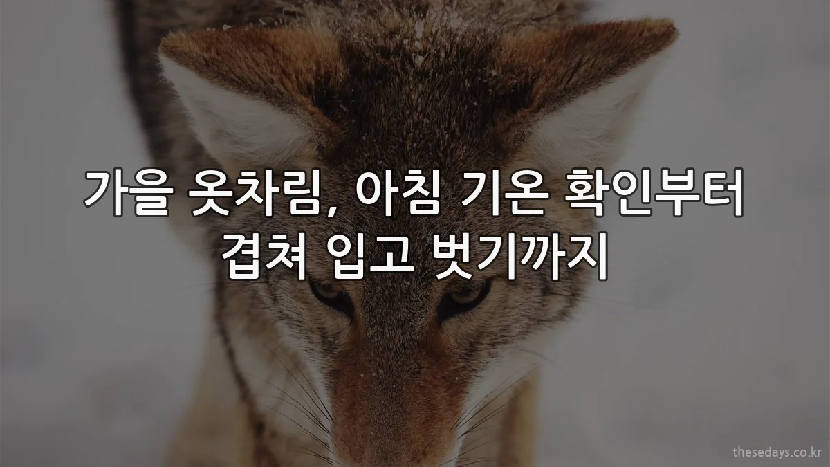 가을 옷차림, 아침 기온 확인부터 겹쳐 입고 벗기까지