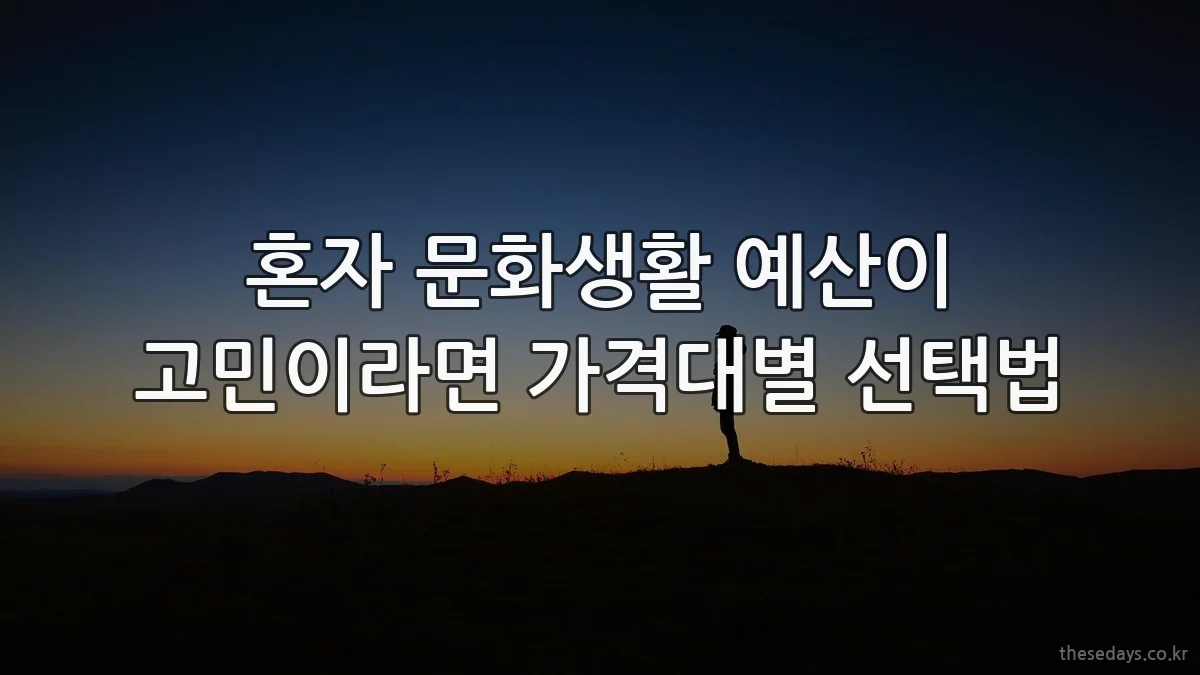혼자 문화생활 예산이 고민이라면 가격대별 선택법