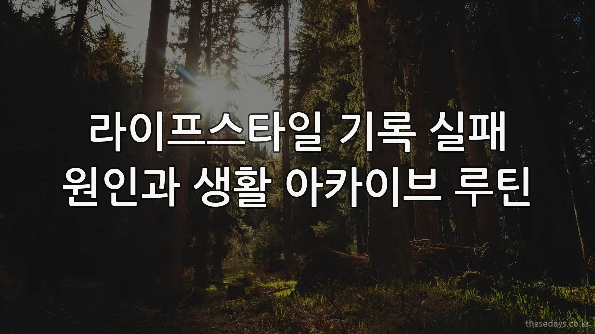 라이프스타일 기록 실패 원인과 생활 아카이브 루틴