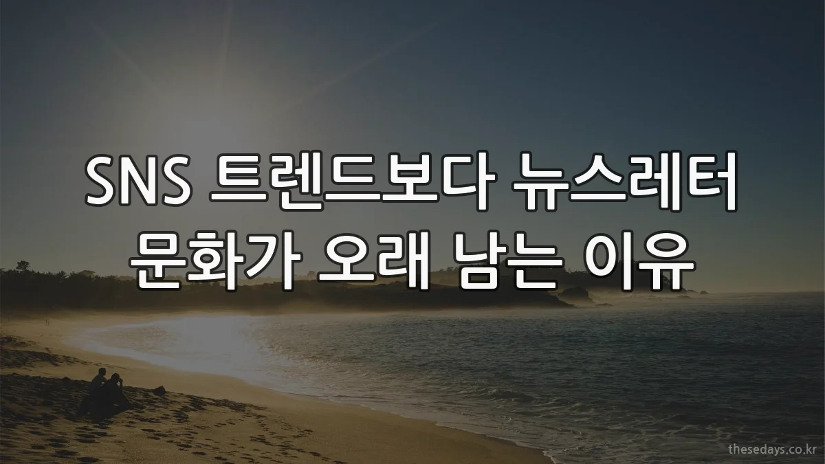 SNS 트렌드보다 뉴스레터 문화가 오래 남는 이유