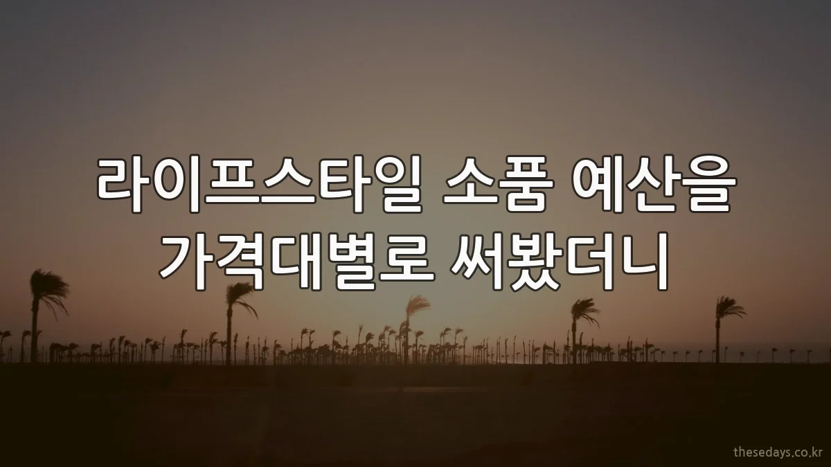라이프스타일 소품 예산을 가격대별로 써봤더니